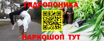 стафф Свободный